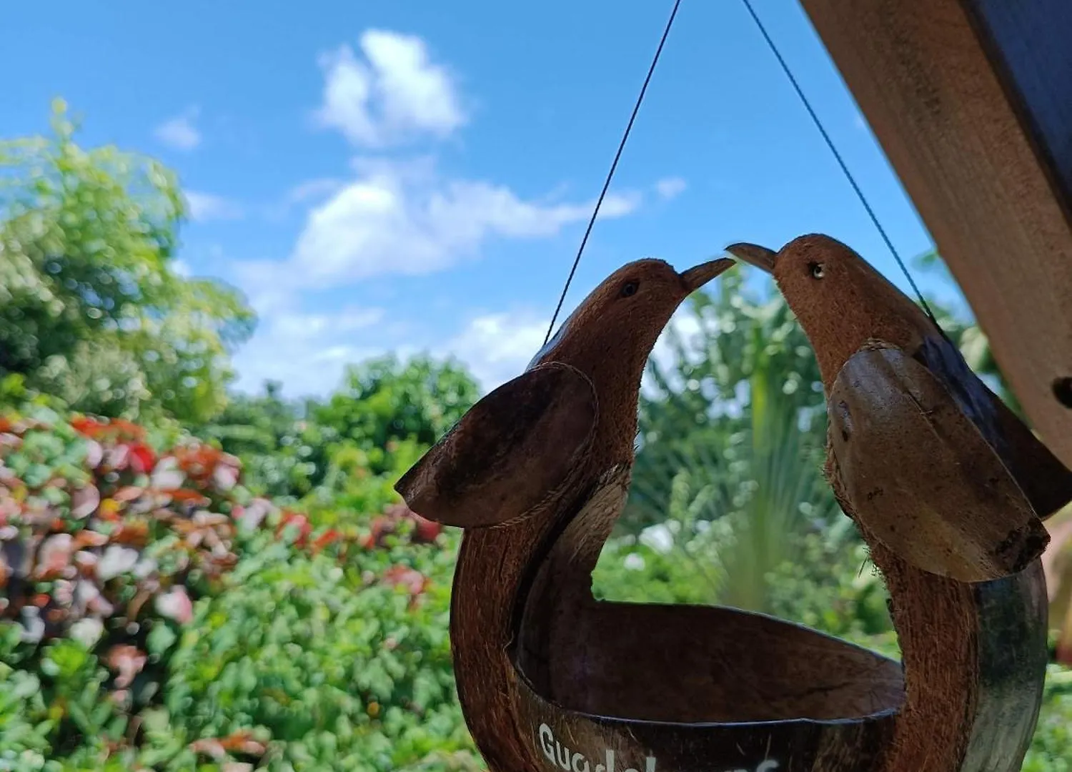 Casa de Férias Le Colibri D'Acomat - Gite Avec Piscine Privee Pointe-Noire Guadalupe