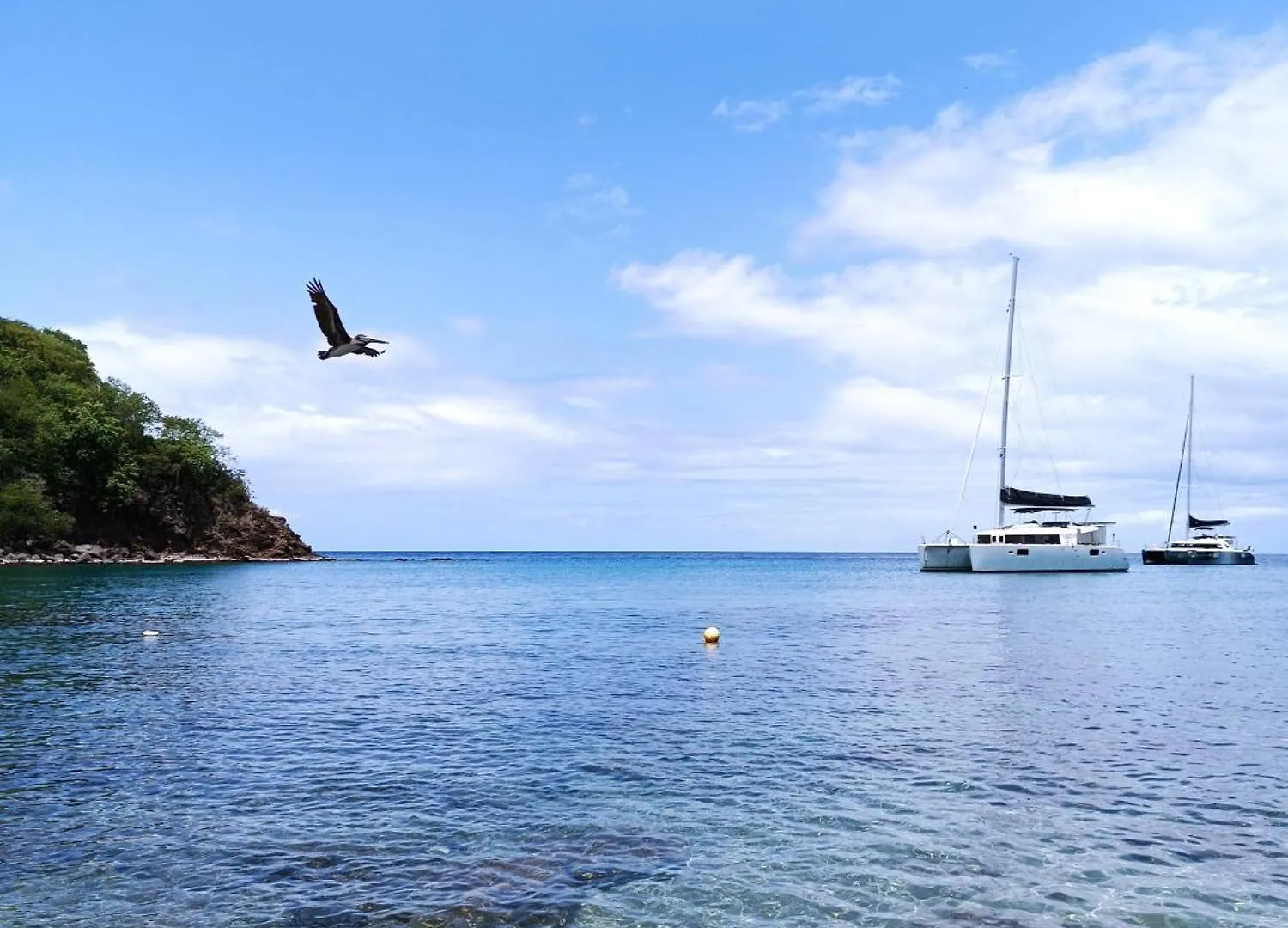 Le Colibri D'Acomat - Gite Avec Piscine Privee Pointe-Noire Holiday home